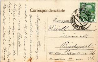 1910 Baden bei Wien, Arena, Haupteingang (EK)