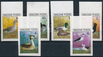 1980 Madarak (IX.) - Védett vízimadarak ívszéli vágott sor (6.000)