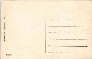 Hochschwab (Steiermark), Hochschwab-Gipfel, Dachstein / mountain peak