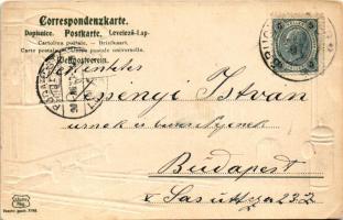 1904 Stainz (Steiermark), Grüss Gott. Man and lady on a train, locomotive. W. Rigold Art Nouveau, Em...