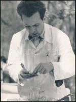 Pincérszámtan, jelzés nélküli fotó, 24×18 cm