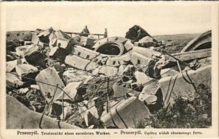 Przemysl, Ogólny widok zburzonego fortu / Totalansicht eines zerstörten Werkes / Lerombolt erődítmén...