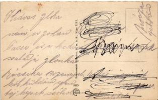 Przemysl, Ogólny widok zburzonego fortu / Totalansicht eines zerstörten Werkes / Lerombolt erődítmén...