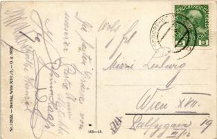 Wien, Vienna, Bécs; Mühlndorfer's Winzerhaus in Weidlingau am Mühlberg "Nur ka' Wasse...