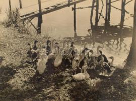 1939 Tarjánné Dvihally Anna (1907-1982): "Reggeli után", fotó kartonon, "B. S. E. Fotokiállítás 1939" címkével, a hátoldalon feliratozva, foltos, kissé sérült, a fotó felületén karcolásokkal, 22x30 cm, karton: 42x47 cm