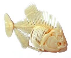 Sötétben világító hal dísz, műanyag, 15x20 cm