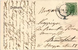 1907 Bad Gastein, Grüsse aus den Bergen. Art Nouveau montage with hiker's backpack, folklore (E...