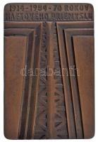 Csehszlovákia 1984. "70 rokov naftového priemyslu (Az olajipar 70 éve)" kétoldalas bronz emlékplakett dísztokban (50x74mm) T:AU Czechoslovakia 1984. "70 rokov naftového priemyslu (70 years of the oil industry)" double-sided bronze commemorative plaque in a decorative case (50x74mm) T:AU