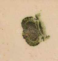 cca 1920 Art deco hölgy kígyóval figura, keze sérült, restaurált, jelzett, 13x10 cm