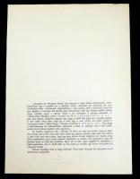 1990 Hegedűs 2 László (1950-) : A nagy fehérvári árvíz. The great Fehérvár flood. Esterházy Péter be...