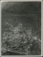 cca 1965 Fotogram, jelzés nélkül, a Konecsni Györgynek címzett borítékból, ezüst zselatinos ún. dokufotópapíron, kartonra ragasztva, 24x18 cm