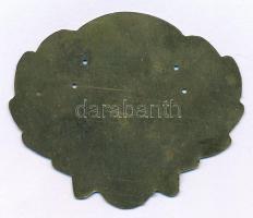 1970 k. "Társadalmi Erdei Szolgálat (TESZ) - 20 év után" festett fém jelvény rögzítéshez s...