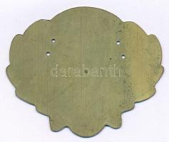 1970 k. "Társadalmi Erdei Szolgálat (TESZ)" festett fém jelvény rögzítéshez szolgáló lyuka...