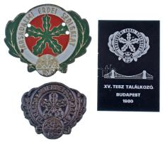 1970 k. "Társadalmi Erdei Szolgálat (TESZ)" fém jelvény (2xklf) egyik festett, rögzítéshez szolgáló lyukakkal + "XV. TESZ találkozó Budapest 1980" festett Al plakett (40x59mm) T:AU-VF
