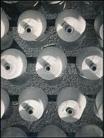 1964 Albertini Béla (1940-2020): Virág a nagyüzemben című vintage fotóművészeti alkotása, feliratozva, ezüst zselatinos fotópapíron, 24x18,2 cm