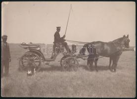 cca 1910-1920 Lovaskocsi és hajtója, fotó, 17x12 cm