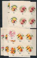 1964 Magyar barackfajták vágott sor négyestömbökben (24.000)