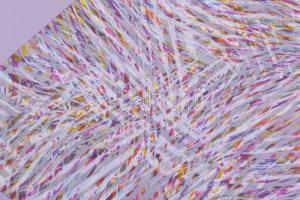 Hajdú László (1938-): Geo II., 1992. Szitanyomat, papír. Jelzett. Művészpéldány EA V/XI számozással....