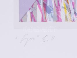 Hajdú László (1938-): Geo II., 1992. Szitanyomat, papír. Jelzett. Művészpéldány EA V/XI számozással....