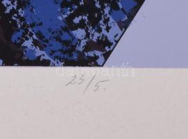 Hajdú László (1938-): Út a végtelenbe, 1986. Szitanyomat, papír. Jelzett. 25/5. számozással. 76,5x45...