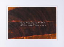 Hajdú László (1938-): Fekete eső, 2006. Ecolin, kréta, papír. Jelezve jobbra lent. Hátoldalán autográf felirattal. 40x60 cm.