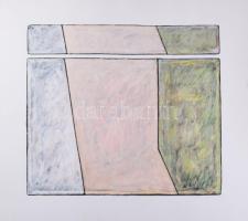 Hajdú László (1938-): Vitális mezők I., 1999. Akril, kártyapapír. Jelezve jobbra lent. Hátoldalán autográf felirattal. 43x50 cm.