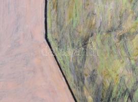 Hajdú László (1938-): Vitális mezők I., 1999. Akril, kártyapapír. Jelezve jobbra lent. Hátoldalán au...