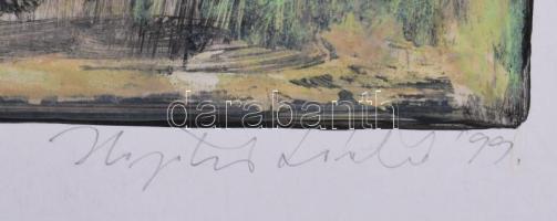 Hajdú László (1938-): Vitális mezők I., 1999. Akril, kártyapapír. Jelezve jobbra lent. Hátoldalán au...