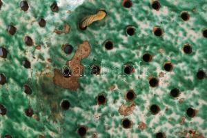 Szűrő. Alföld, cca 19. sz. közepe - második fele, felületi sérüléssel, repedésvonallal, d: 32 cm