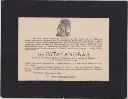 1916 Pestszentlőrinc, báji Patay András (1837-1916) nyug. cs. és kir. tábornok, Debrecen és Nagyvárad városok főispánja halotti értesítője, kis lapszéli sérülésekkel, 23x29,5 cm