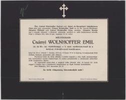1915 Miskolc, csányi Wolnhoffer Emil (1845-1915) cs. és kir. vezérőrnagy, a III. oszt. Vaskorona-rend és a Katonai Érdemkereszt tulajdonosa halotti értesítője, kis lapszéli sérüléssel, 23x29 cm