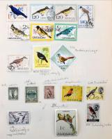 Madár - állat motívum gyűjtemény házi készítésű lapokon + kisméretű berakóban, sok száz bélyeg telje...