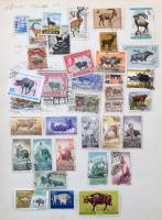 Madár - állat motívum gyűjtemény házi készítésű lapokon + kisméretű berakóban, sok száz bélyeg telje...