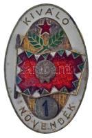 1970-1980 k. "Kiváló Növendék - 1. osztály" rátétes, műgyantás bronz Magyar Néphadsereg sapkajelvény (41x26mm) T:XF