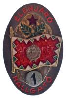 1970-1980 k. "Élenjáró Hallgató - 1. osztály" rátétes, műgyantás bronz Magyar Néphadsereg sapkajelvény (41x26mm) T:XF