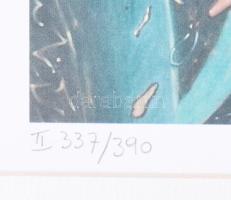 Pjeroo Roobjee (1945-): Kapoenen. Nyomat, papír. Jelzett. Számozott (337/390). Keretben. 28x35 cm