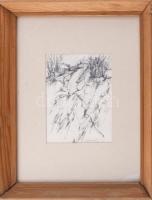 Feldmann Tibor (1945-?): Tájvázlat. Tus, papír. Jelzett. Üvegezett fakeretben. 19x13,5 cm