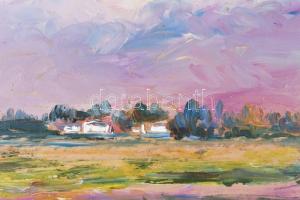 Győri Nagy Sándor (-): Békési tanya. Olaj, farost, jelzett. Dekoratív, sérült fakeretben, 34×40 cm