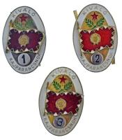 1970-1980 k. "Kiváló Rajparancsnok - 1-2-3. osztály" rátétes, műgyantás bronz Magyar Néphadsereg sapkajelvények (3xklf) (41x26mm) T:AU,XF
