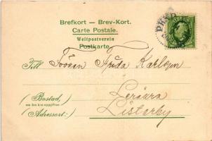 1903 Hälsning fran Cirkus Francois. Bröderna, Francois / Greetings from Circus Francois