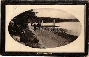 1911 Karlskrona, Skogsparken / forest park (surface damage)
