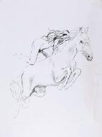 Melocco Miklós (1935-): Ló és leány. Szitanyomat, papír, jelzett, számozott (58/100), kartonra kasírozva, jobb szélén ázásnyommal, 36×33 cm