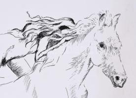 Melocco Miklós (1935-): Ló és leány. Szitanyomat, papír, jelzett, számozott (58/100), kartonra kasír...