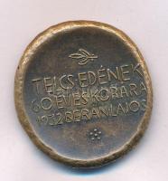 Berán Lajos (1882-1943) 1932. "Telcs Edének 60 éves korára - 1932 Berán Lajos" kétoldalas bronz emlékérem (~27-30mm) T:UNC