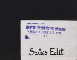 Szűcs Edit (1968): Asztali csendélet. Akvarell, papír. Jelzett. Paszpartuban. 42x26,5 cm