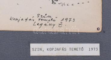 Legány Zoltán (1911-1993): Kopjafás temető, Szin, 1973. Tus, papír, jelzett, kartonra kasírozva. Fel...