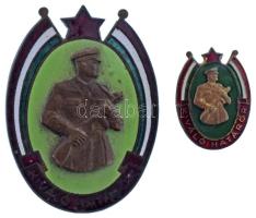 1970 k. "Kiváló Határőr" aranyozott, zománcozott jelvény, csavaros hátlappal (45x33mm) + miniatűr (22x15mm) T:AU