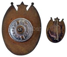 1970 k. "Kiváló Határőr" aranyozott, zománcozott jelvény, csavaros hátlappal (45x33mm) + m...