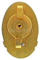 1970 k. "A Magyar Néphadsereg - Kiváló Szakaszparancsnoka" aranyozott, zománcozott jelvény...