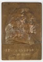 Olvashatatlan jelzéssel: Liszt Ferenc (1811-1886) réz plakettje. Jelzett 14x19 cm